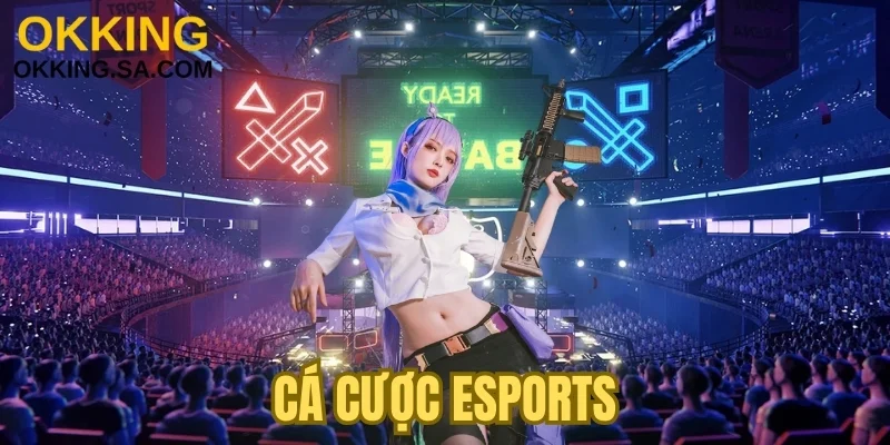 Phân tích thông số tuyển thủ