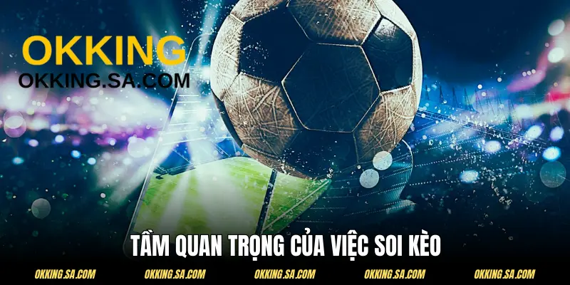 Soi kèo nhà cái hôm nay vô cùng quan trọng trong cá độ